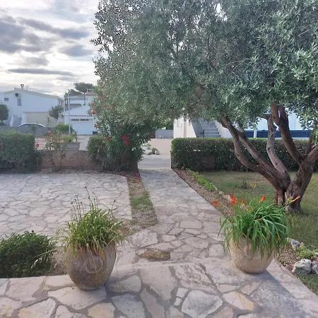 Apartament Crnko, 50m From The With Free Parking And Drinkable Tap Water Vir