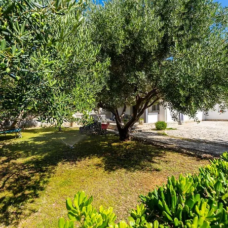 Crnko, 50m From The With Free Parking And Drinkable Tap Water Lejlighed *