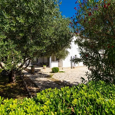 Crnko, 50m From The With Free Parking And Drinkable Tap Water Apartman